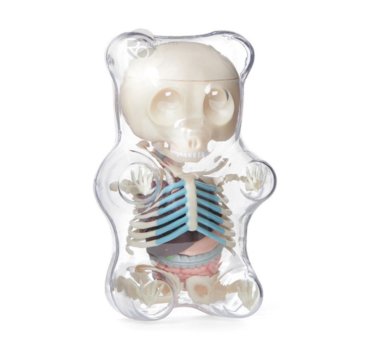 Anatomy Bear Statuette by Romatti