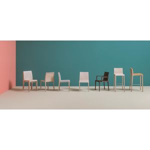 Young by Pedrali Chair