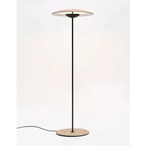 Дизайнерский светодиодный торшер GINGER by Romatti