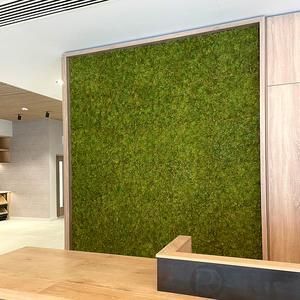 Artificial MOSS panel by Green Walls