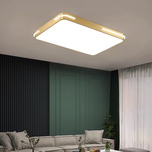 Дизайнерский потолочный светильник INESS RECT by Romatti