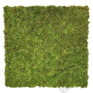 Artificial MOSS panel by Green Walls