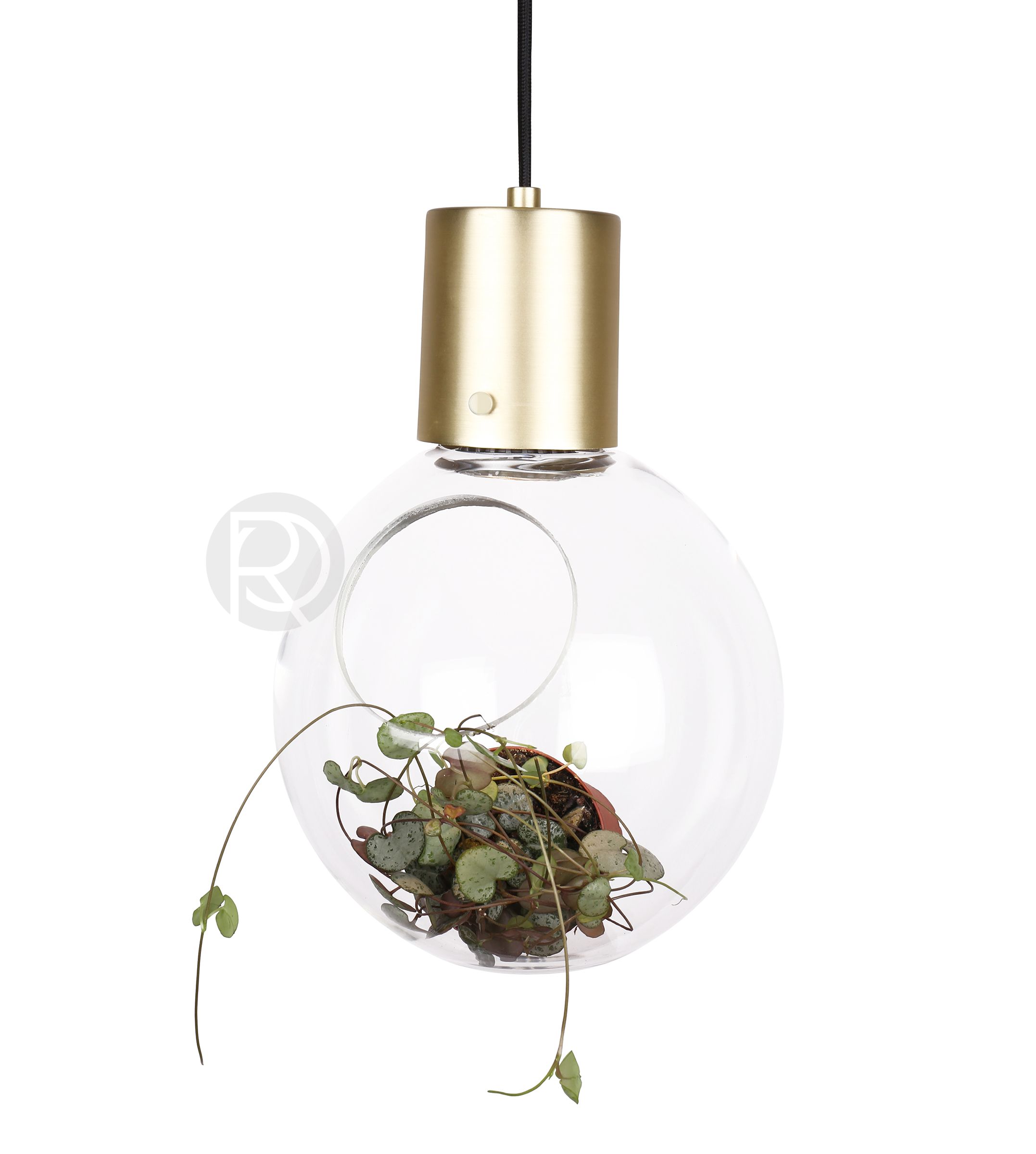 Hanging lamp HOLE by Globen