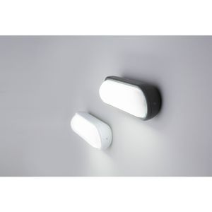Outdoor wall lamp Tone white 71538