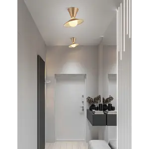 Дизайнерский потолочный светильник FISAN by Romatti