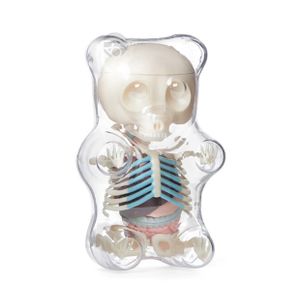 Статуэтка Anatomy Bear by Romatti